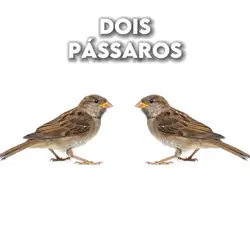 Two Birds