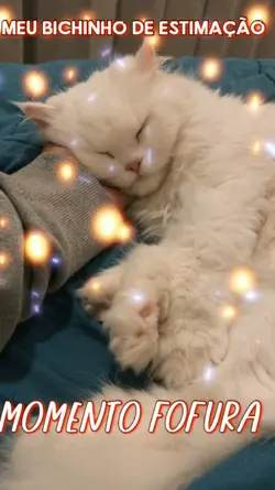 Meu Bichinho lindo