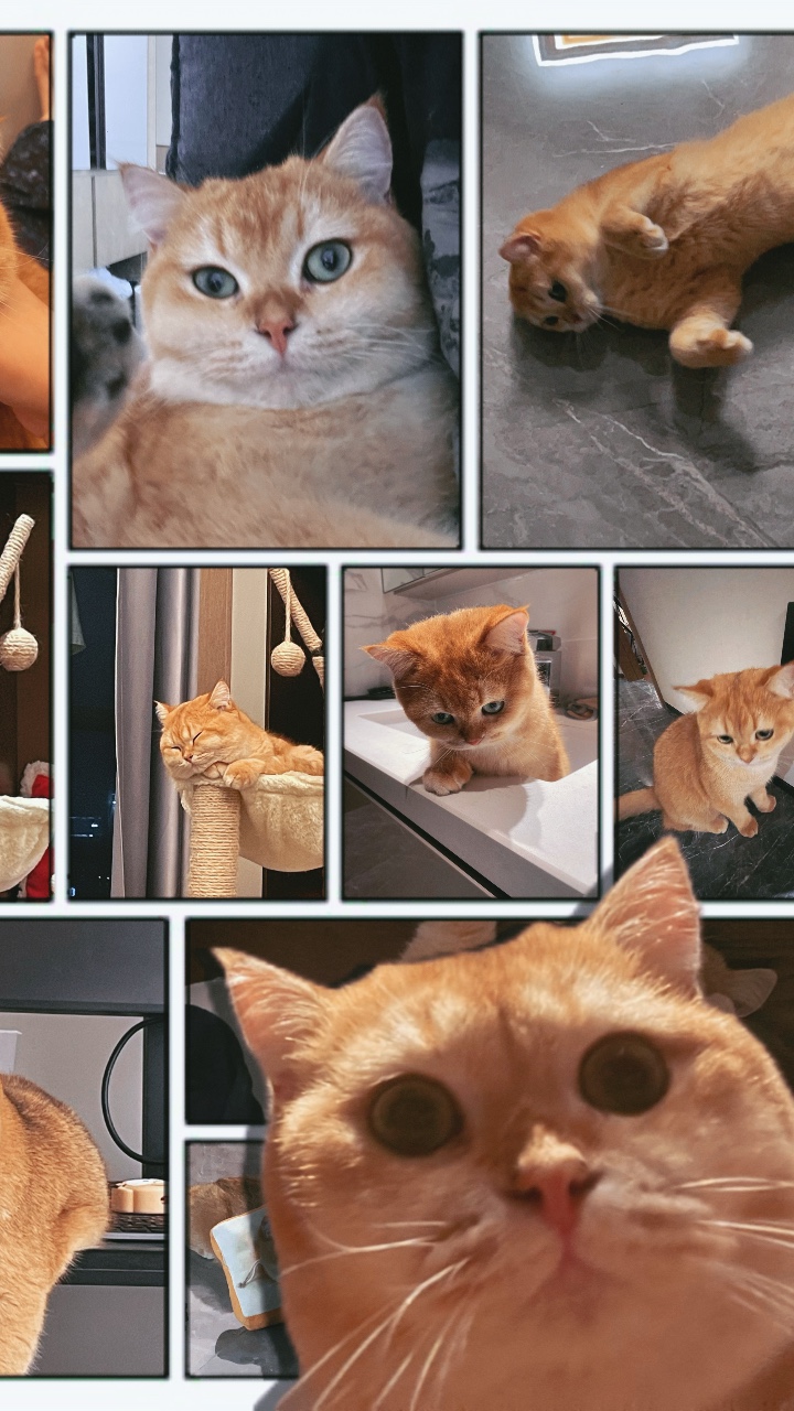 Parede de fotos em quadrinhos