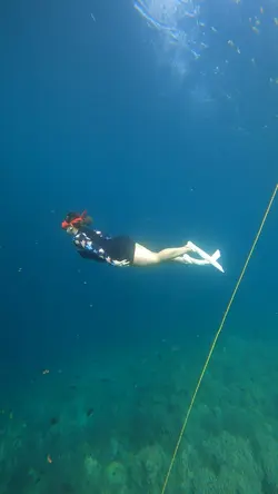Freedive ❤️