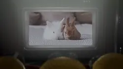 Movie Screen 