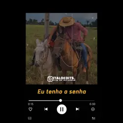 EU TENHO A SENHA