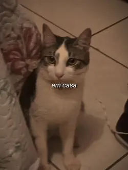 eu te amo p smp noah