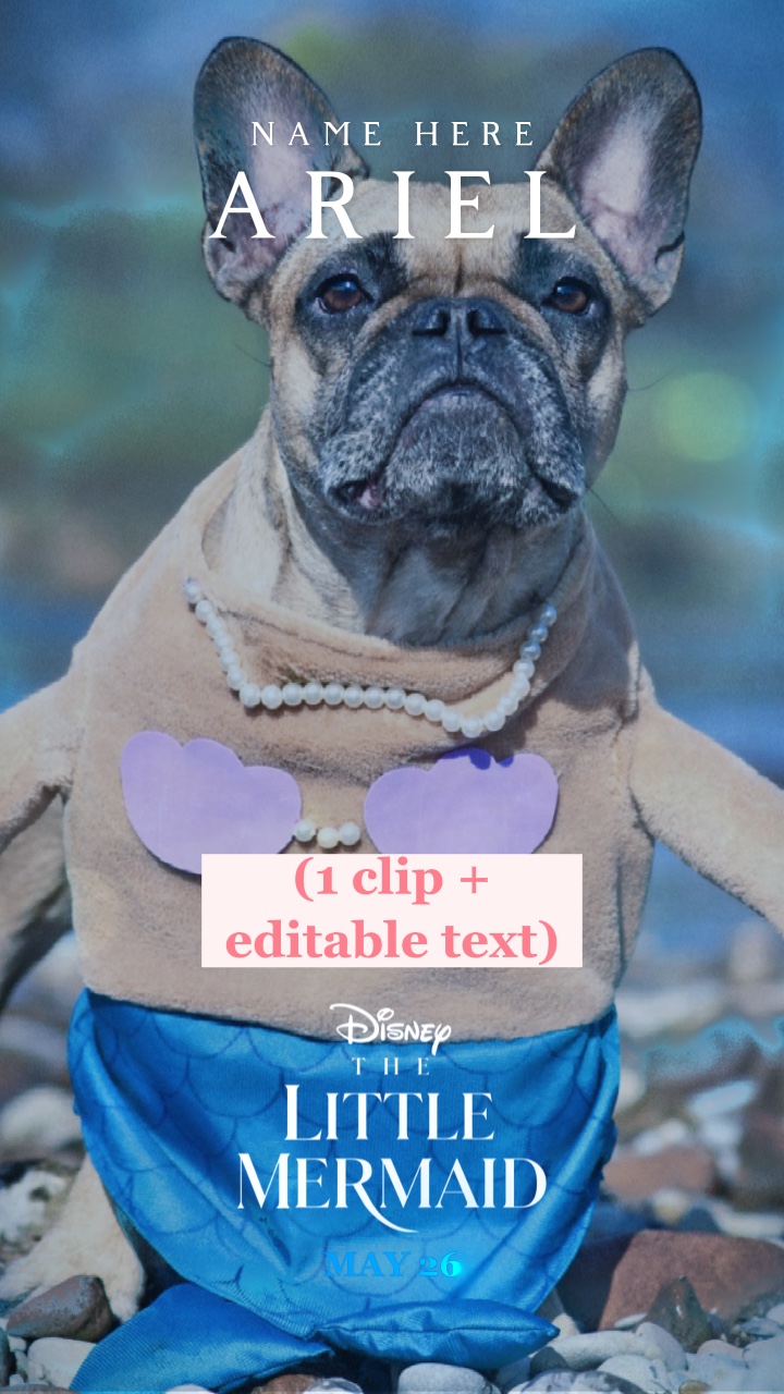 Poster da Pequena Sereia
