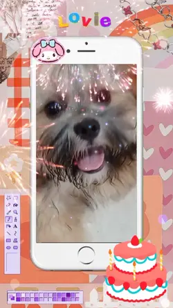 aniversário