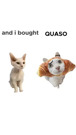 QUASO🥐