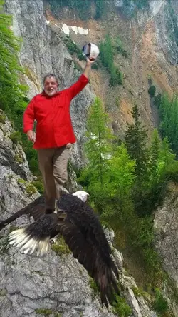 o voo da águia