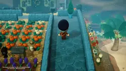 Animal Crossing 🏡
