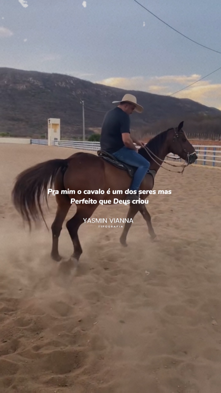 🤠❤️ melhor amigo🐴