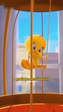 eu vi um gatinho 