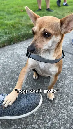 Youโve got a smile ๐