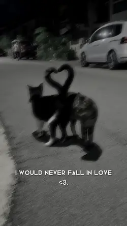 i love you <3