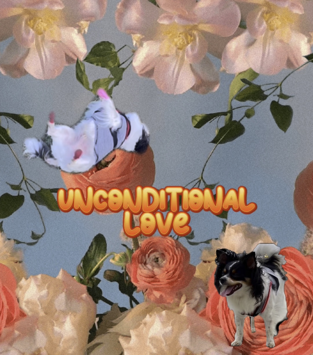 Bedingungslose Liebe