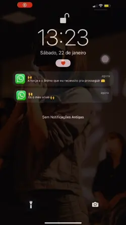 Notificação Whatsapp