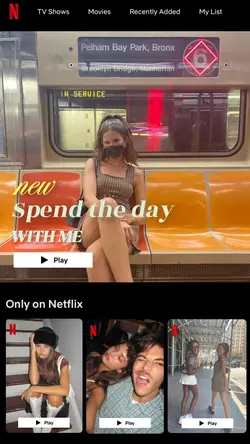 Netflix interface 