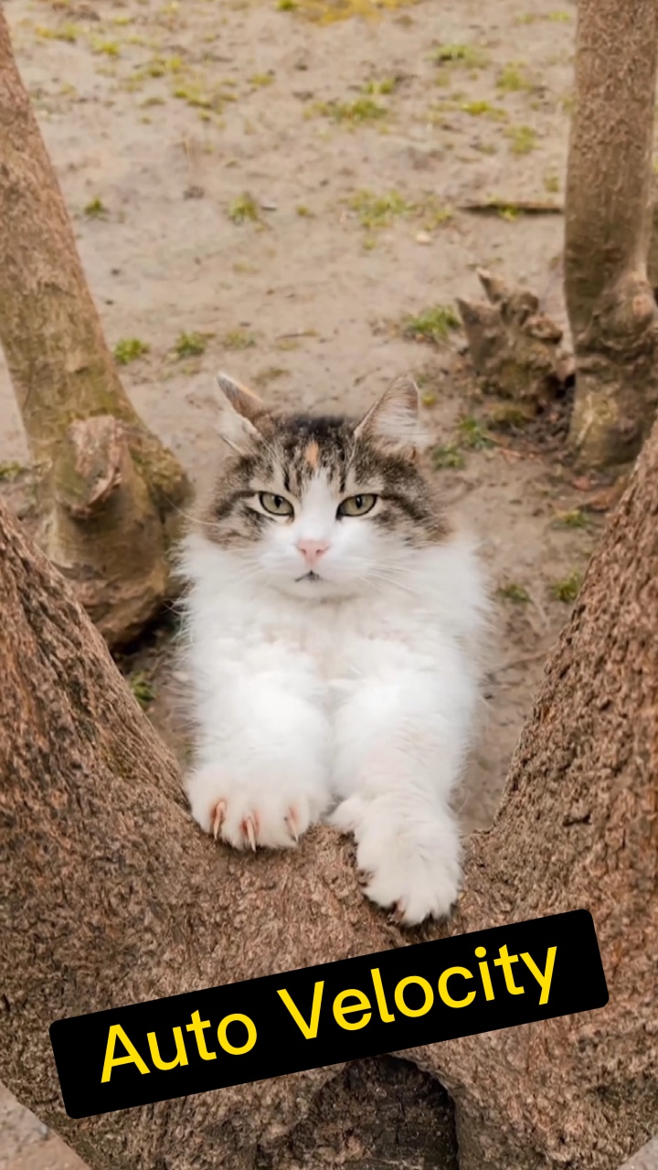 Automatischer Geschwindigkeitstrend