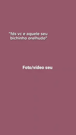 seu pet