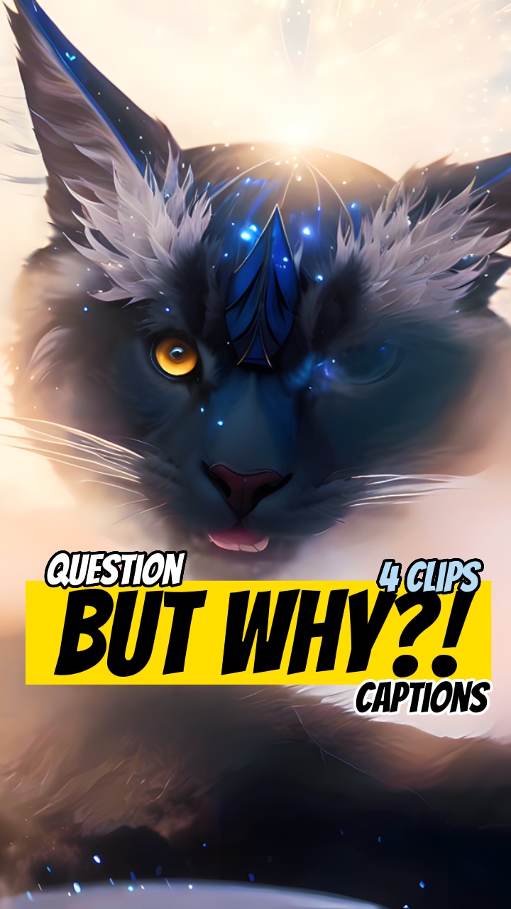 ¿¡¿Pero por qué?!?