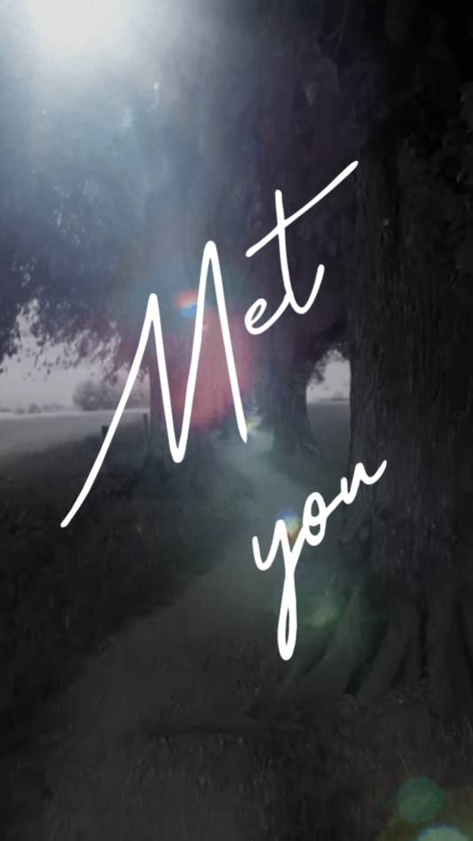 MET YOU
