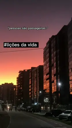 lições da vida 