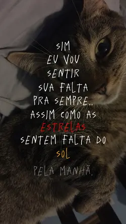 saudades🖤