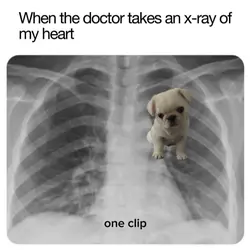 x-roy of my heart