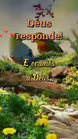 Vai dar tudo certo!