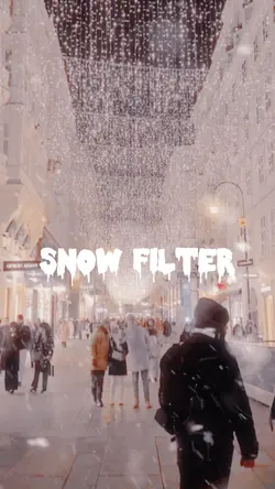 Snow filter