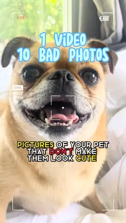 1 Video 10 Photos
