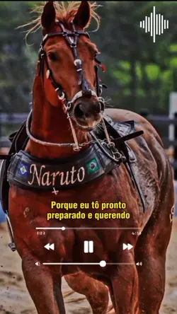 Cavalo selado