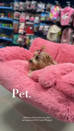 PET | 8 vídeos