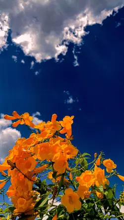 Te Adorar 🙏🏻✨