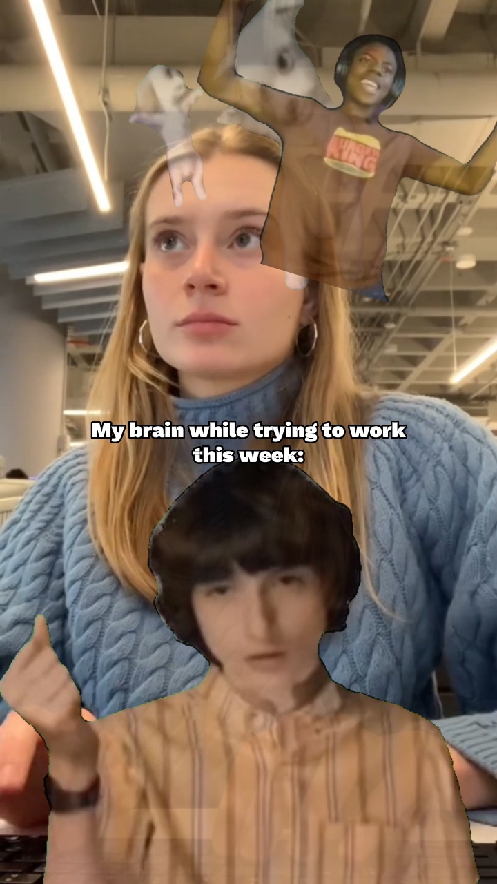 My brain this week