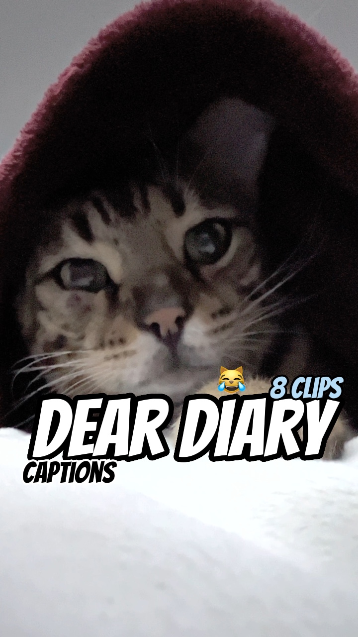 Dear diary! 