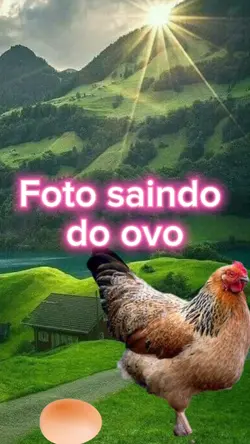 Foto saindo do ovo