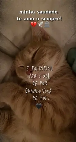 Meu bichinho 🖤💔🥺