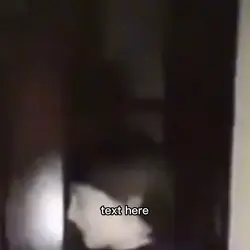 adios