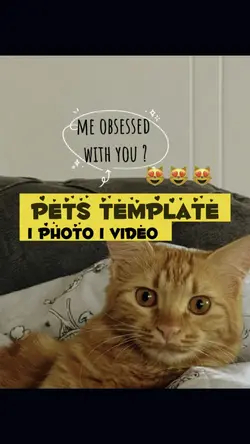 Pets template