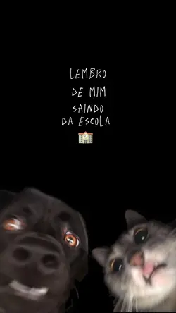 Isso vale mnh vida 😴