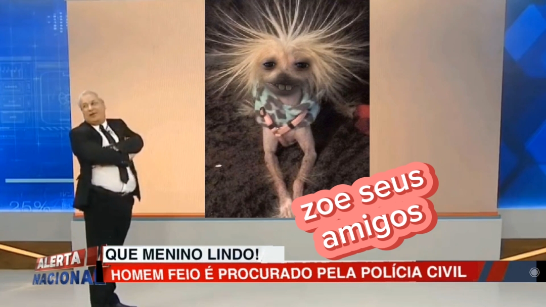 trolle seus amigos 