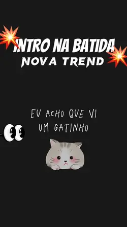 Acho que vi um gatin