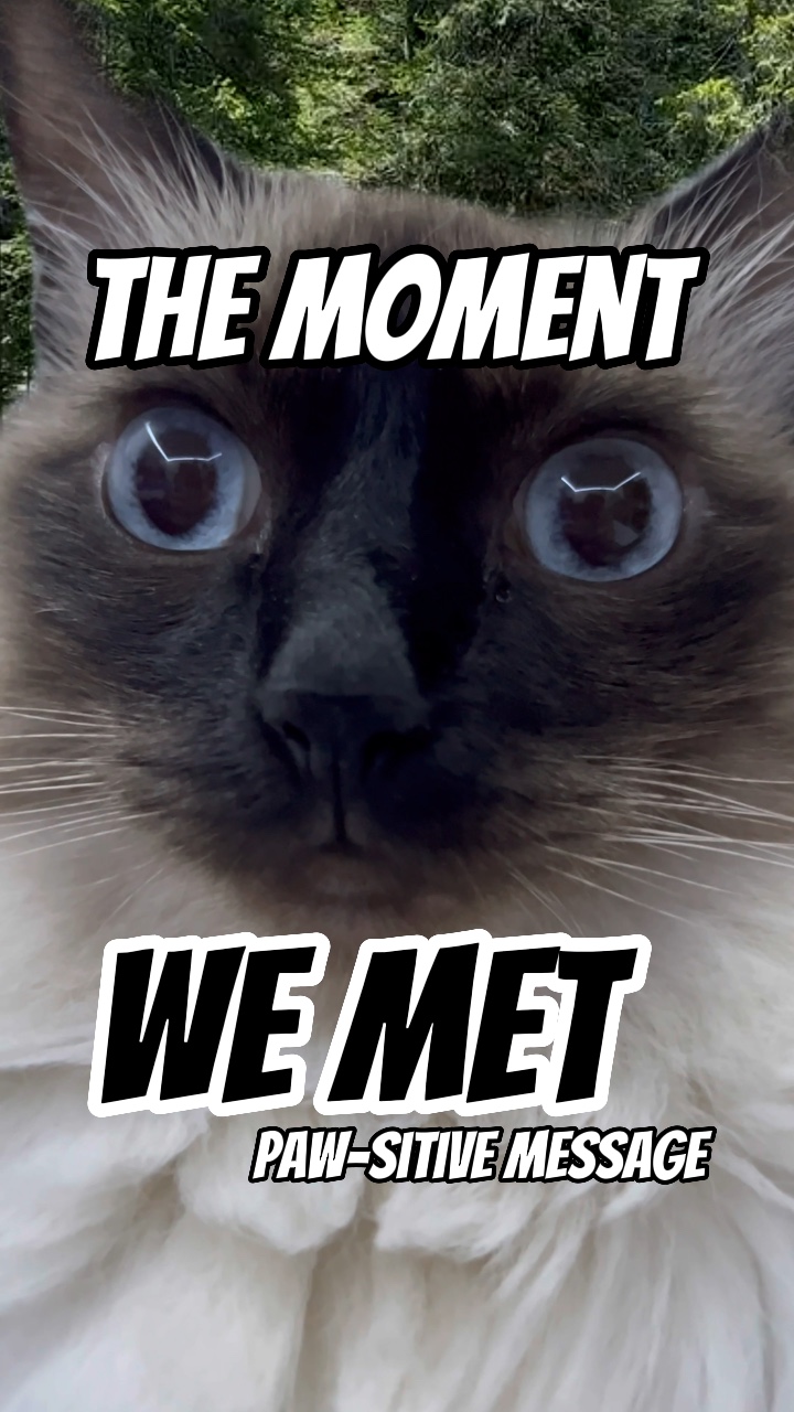 The moment we met