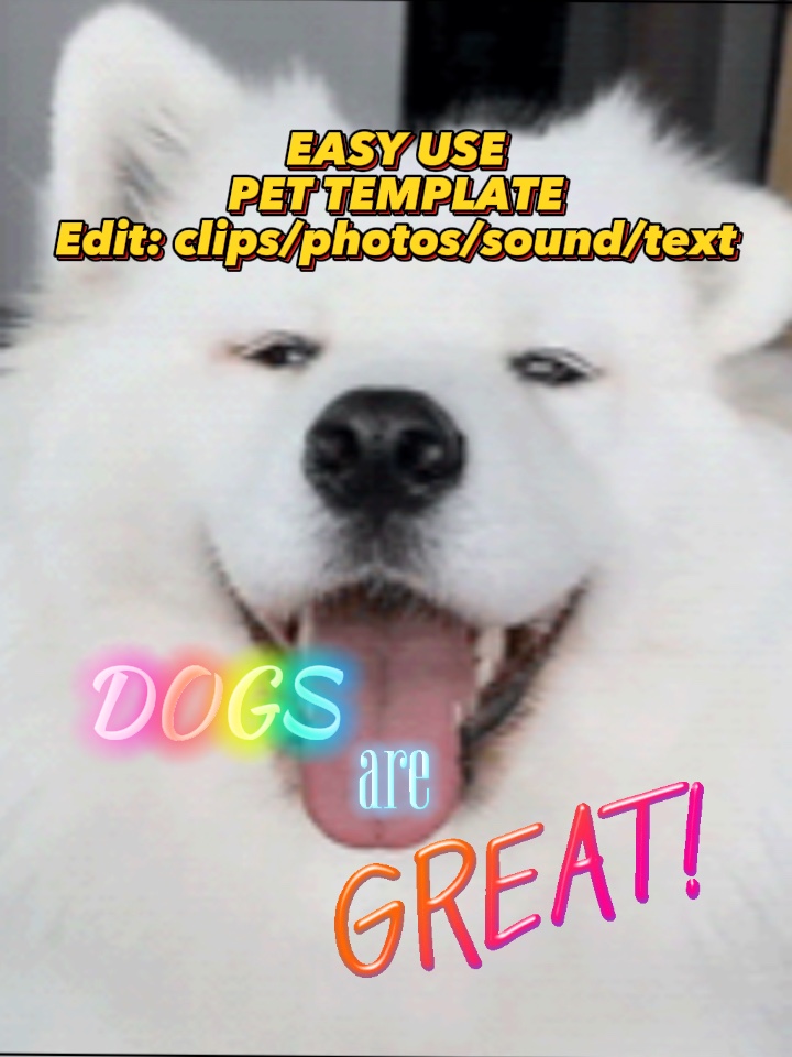 HAUSTIERE R GR8