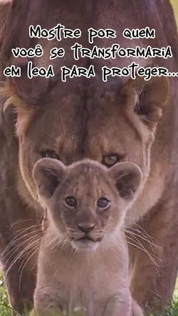 por vc amor