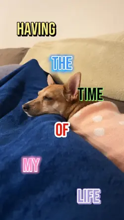 Having the time of..