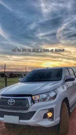BOY DA HILUX