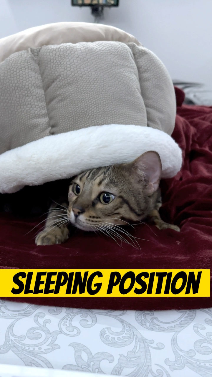 5 Sleeping position