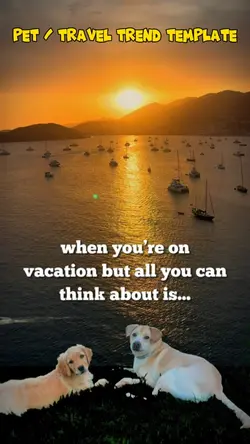 Travel / Pet Owners