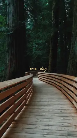 One Day