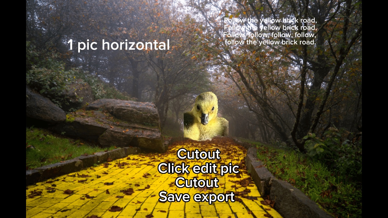 Yellow Brick Road